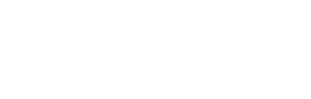 damon_Logo
